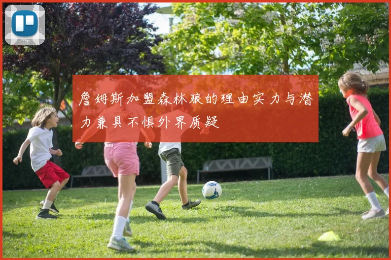 詹姆斯加盟森林狼的理由实力与潜力兼具不惧外界质疑
