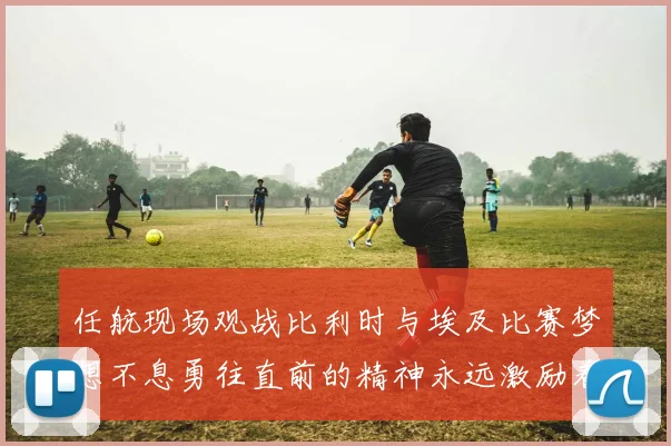 任航现场观战比利时与埃及比赛梦想不息勇往直前的精神永远激励着我们