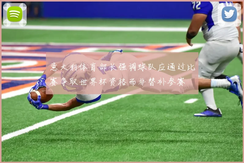 意大利体育部长强调球队应通过比赛争取世界杯资格而非替补参赛