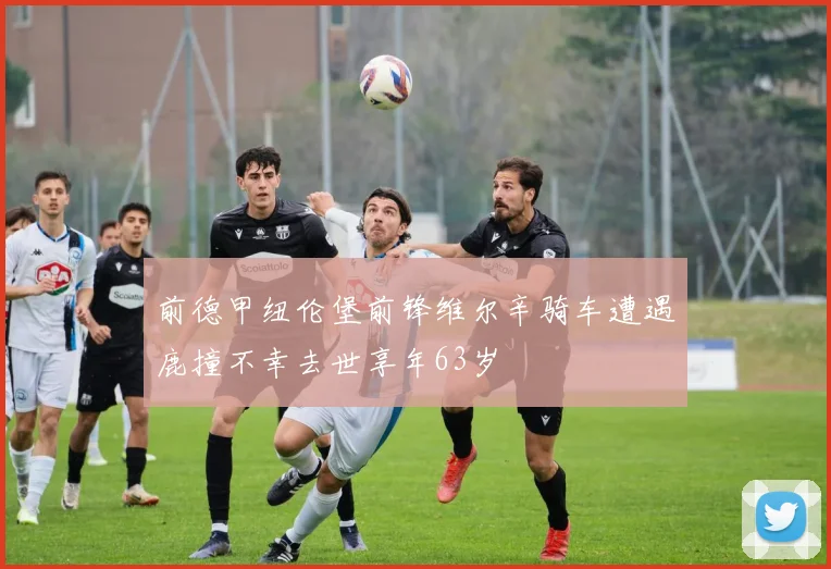 前德甲纽伦堡前锋维尔辛骑车遭遇鹿撞不幸去世享年63岁
