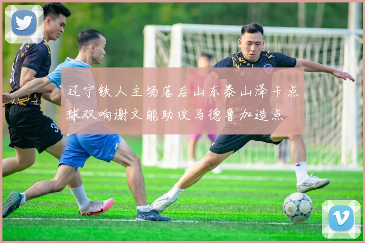 辽宁铁人主场落后山东泰山泽卡点球双响谢文能助攻马德鲁加造点